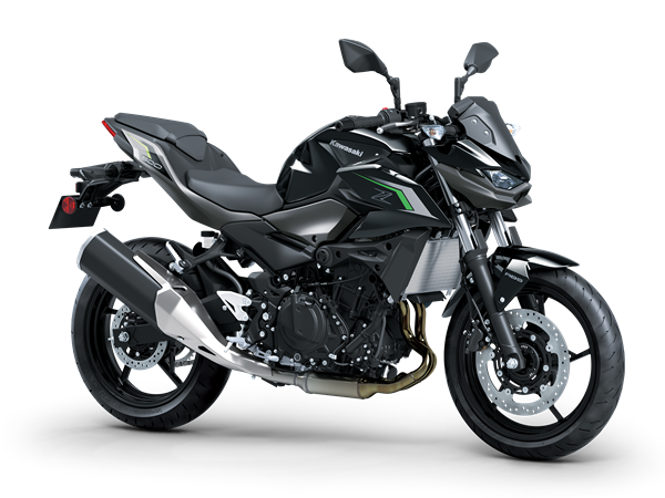 Z500 2024-