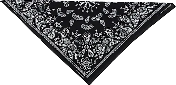 Šátek Zan Bandana Black Paisley