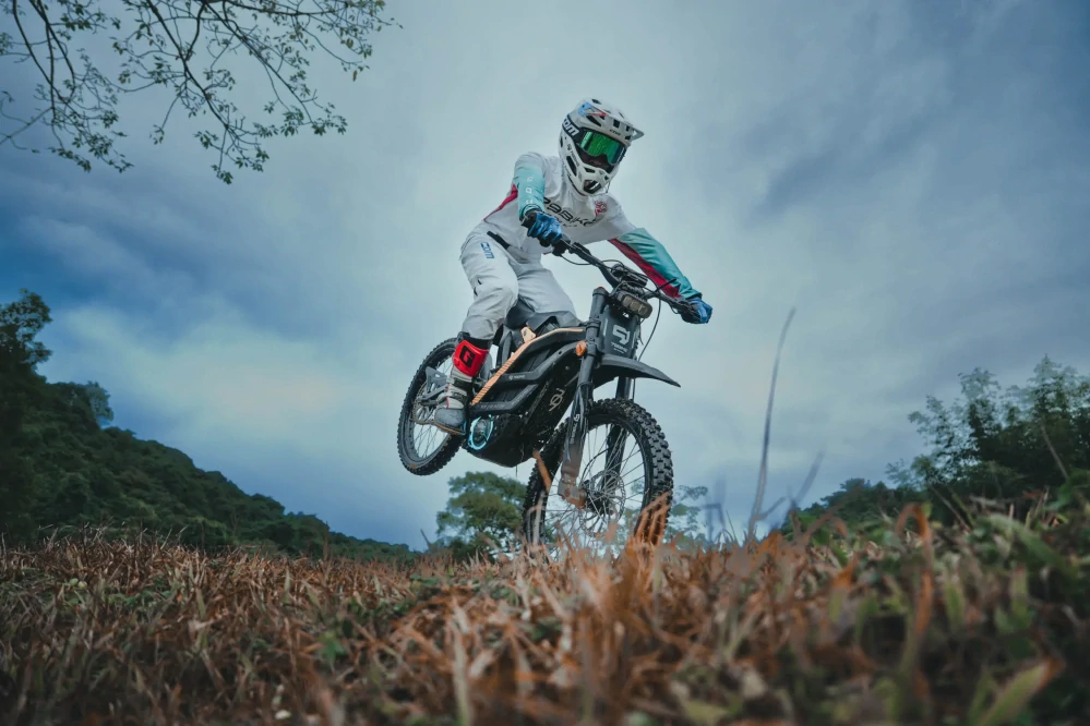 79Bike FALCON PRO Purple/Silver