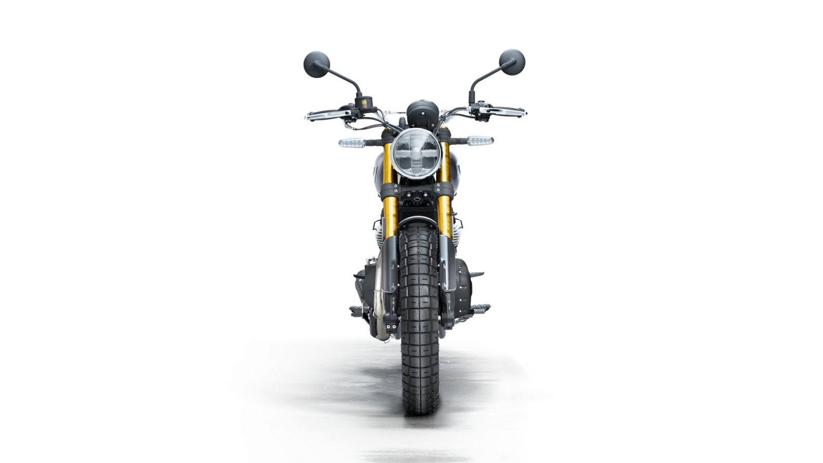 Royal Enfield Bear 650 Golden Shadow