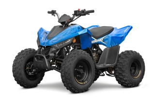 dětská čtyřkolka Linhai ATV 110 4x2 EFI CE Blue