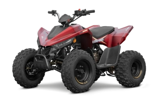 dětská čtyřkolka Linhai ATV 110 4x2 EFI CE Red