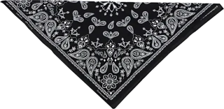 Šátek Zan Bandana Black Paisley